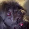 jacobbenkee - @jacobbenkee - TikTok