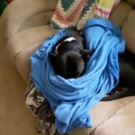 Jacob berrier - @jacoberr1703 - Instagram
