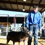 Jacob - @jacobbest51 - Instagram