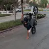 thebestjacobk - @thebestjacobk - TikTok