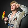 Jacob Justin Beverly - @jacobbeverly - TikTok