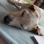 Lina Jacobs - @lina.biedermann.77 - Instagram