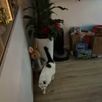 Jacob Biel - Facebook