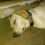 jacob Bierman - @bierman_jacob - Instagram