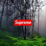 Jacob bilodeau - @jacob_sup11 - Instagram