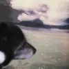 JacobBlanco - @mr.buster098 - TikTok
