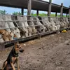 Jacob Blatz - @jacob.blatz2 - TikTok
