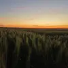 Jacob Boehm - @jacob.boehm6 - TikTok