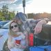 Jacob Bolduc - Facebook