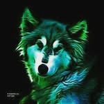 Jacob bolen - @air_jaxe_ - Instagram