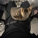 jacob boll - @_.jacobb19 - Instagram