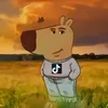 tin t làm chó - @jacob_boll13 - TikTok