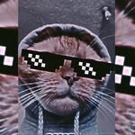 Jacob Noah Bühring - @jacob_bomell - Instagram