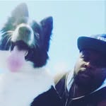 Jacob_bordercollie - @jacob_bordercollie - Instagram