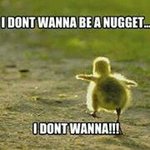 Jacob William Borge - @not_a_nugget - Instagram