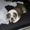jacobborton6 - @jacobborton6 - TikTok
