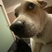 Jacob Botello - Facebook