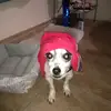 Jacob_botello - @jacob_botello - TikTok