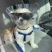 Jacob Bott - Facebook