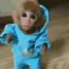 Jacob Bourdon - @jacobourdon - TikTok