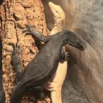 Jacob Bourque - @jrabbourque - Instagram