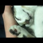 @jacob_bowie - Instagram
