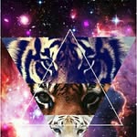 Jacob Brackett - @brackett_jacob - Instagram