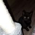 Jacob Brazier - Facebook