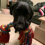 Jacob Brazier - @jacobbrazier21 - Instagram