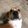 jacobbreedd - @jacobbreedd - TikTok