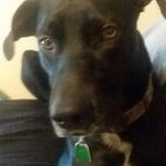 Jacob Breeding - @jacob.breeding.562 - Instagram