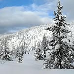 Stephanie Bremer Jacobson - @bremerjacobson - Instagram
