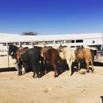 Jacob Bricker - @jacob_bricker40 - Instagram