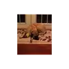 Jacob Brinker875 - @jacobbrinker875 - TikTok