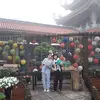 Jacob_Brinker - @Jacob_Brinker - TikTok