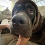 Jacob Brooke - @jacobbrooke2 - Instagram