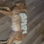 Jacob Brooke - Facebook