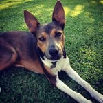 Jacob Brooke - @jacob_brooke02 - Instagram
