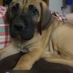 Jacob Brownlee - Facebook
