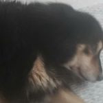 Jacob Makenzie Burchett - @jacobmakenzie - Instagram