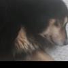 jacobburchett4905 - @jacobbur - TikTok