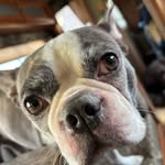Jacob Joseph Steven Burkett - @jj_burkett - Instagram