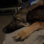 Jacob Burkey - @burkey.jacob - Instagram
