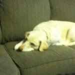 Jacob Burkey - @_burkey_99_ - Instagram