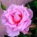 Jacob Bybee - Facebook