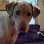Jacob Byler - @jacob_da_boss_man - Instagram