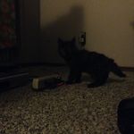 Jacob Bylsma - @jacob_has_minecraft - Instagram