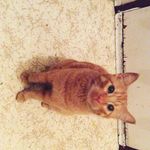 Jacob Bylsma - @jacob_bylsma1414 - Instagram