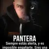 Jacob Cabrera - @jacobcabrera01 - TikTok