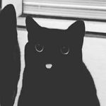 Jacob Cano - @jacobdontgiveafuck7 - Instagram